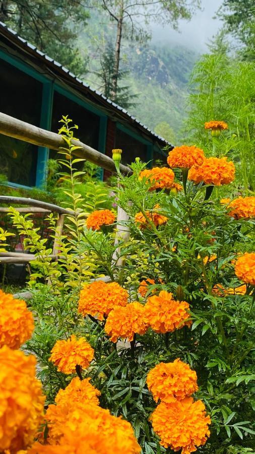 Himtrek Riverside Camps, Kasol Exterior photo