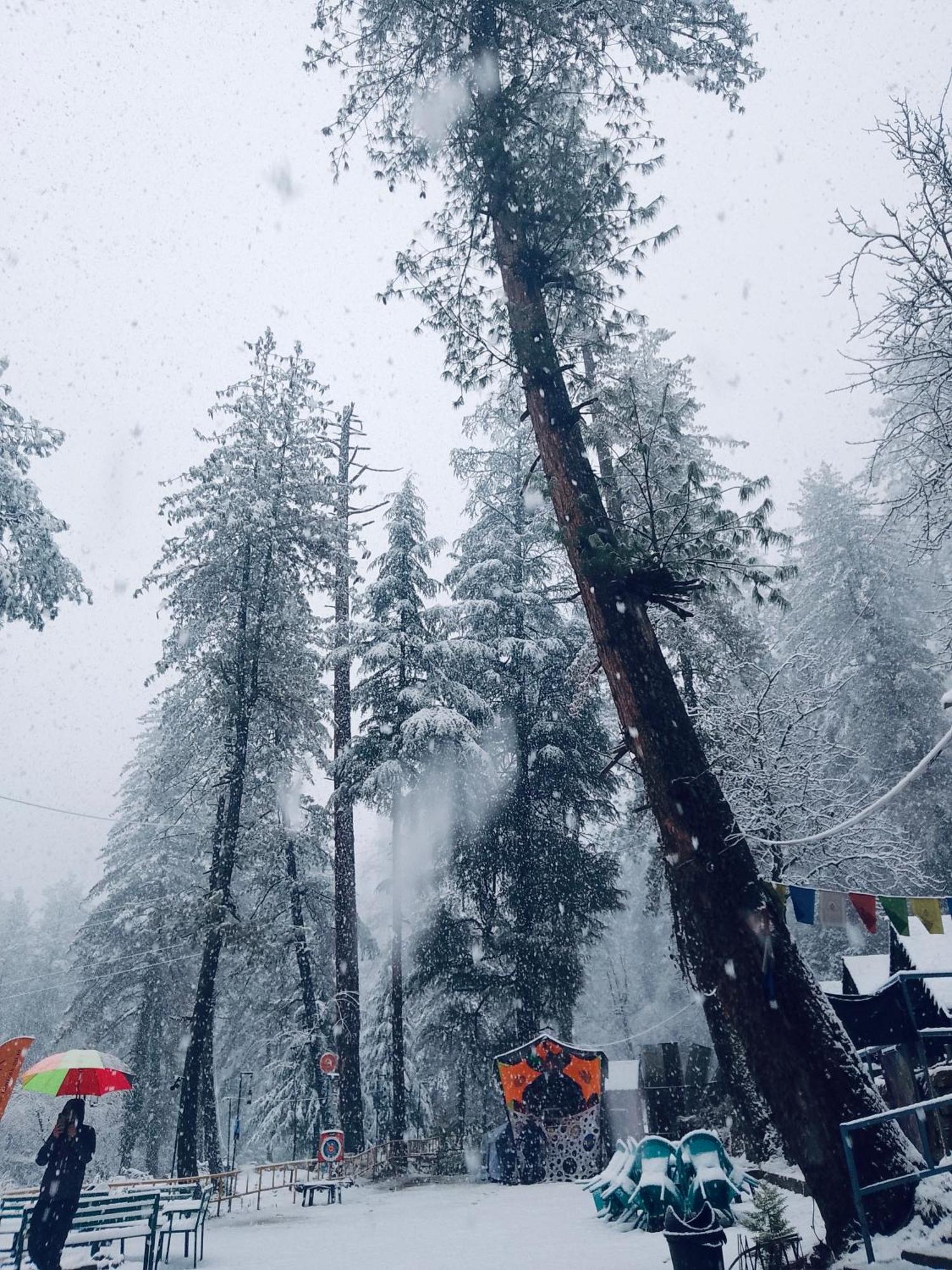 Himtrek Riverside Camps, Kasol Exterior photo